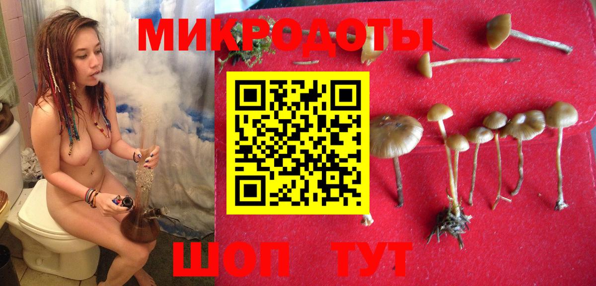 Иваново  Псилоцибиновые грибы ЛСД  Вход с VPN  Псилоцибиновые грибы GOLDEN TEACHER 